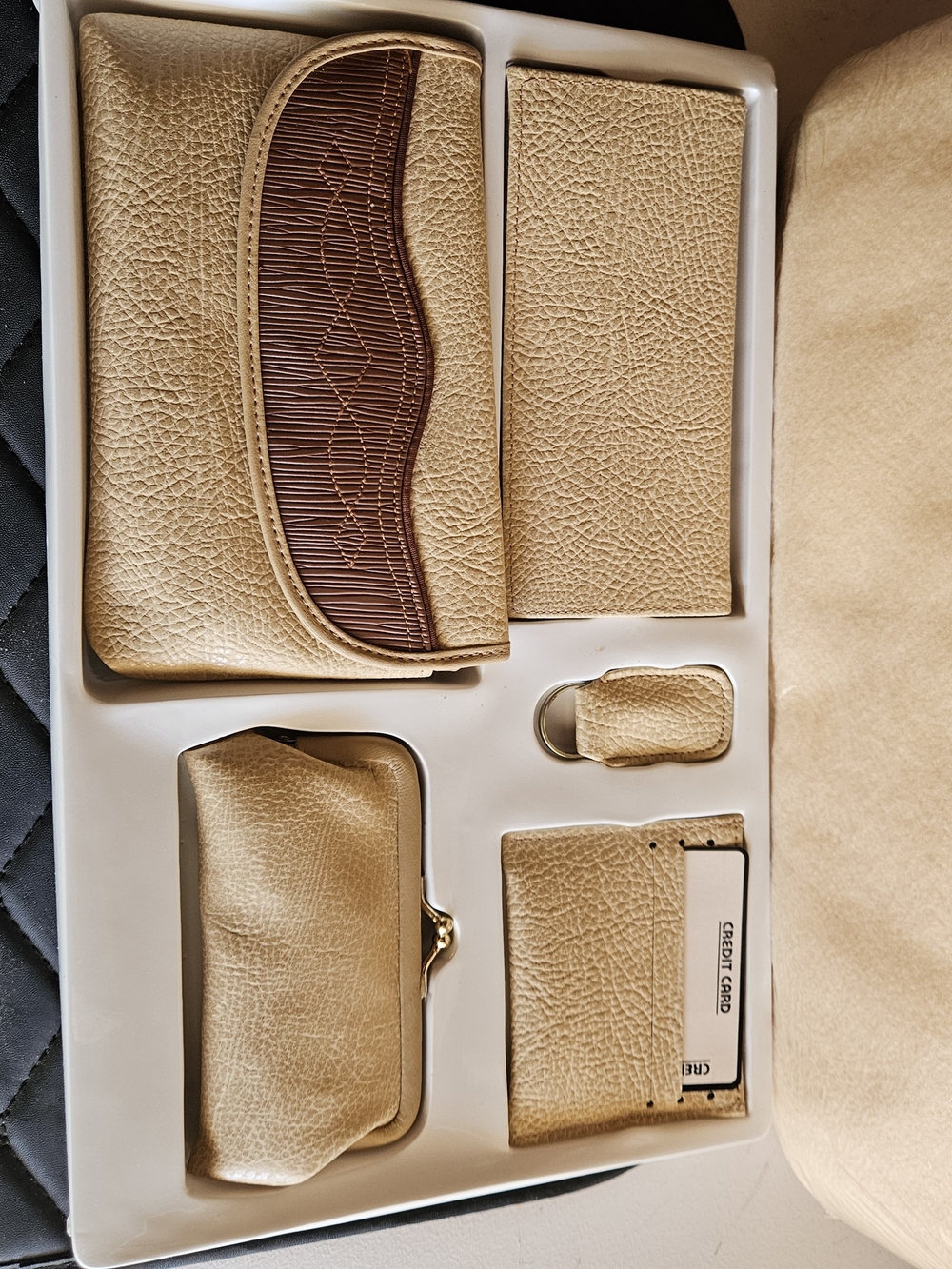 Gitano Gold and Brown Women's Wallet Gift Set